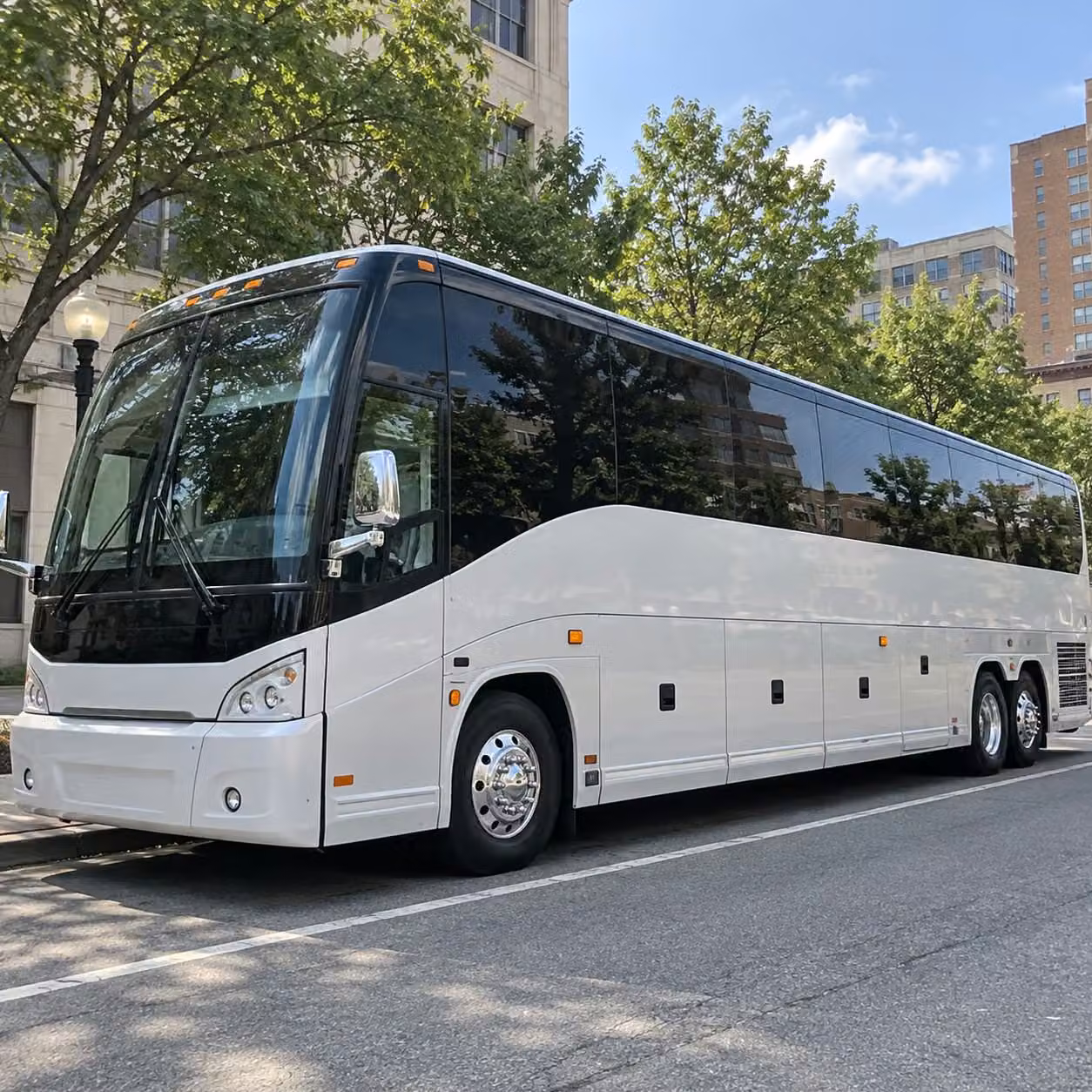 roanoke fan bus rentals to carilion clinic city stadium and salem red sox games